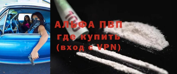 индика Аркадак