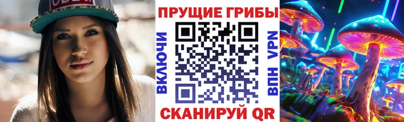 Псилоцибиновые грибы Cubensis Будённовск