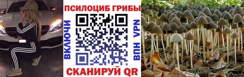 Галлюциногенные грибы ЛСД  Купить закладки  Будённовск 