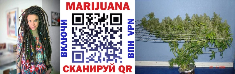 Марихуана конопля  Купить  Будённовск 